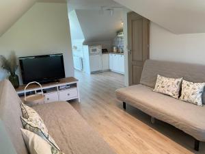 a living room with a couch and a flat screen tv at Apartamenty u Kasi in Kudowa-Zdrój