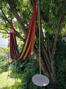 a hammock hanging from a tree in a yard at Country home @ the Danube Bend in Nagymaros