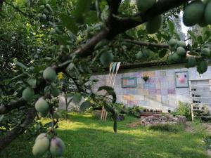 uma macieira em frente a um edifício em Country home @ the Danube Bend em Nagymaros