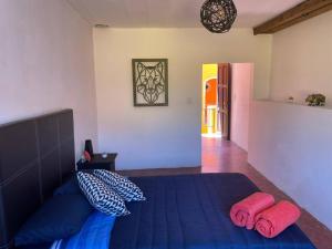 a bedroom with a blue bed with two pink pillows at Casa 86 in San Miguel de Allende