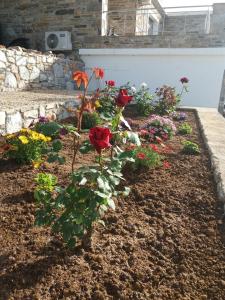 Zahrada ubytování Seastone Villas