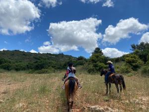 Gallery image of The Riders' Experience - Glamping and Attractions Park- Full Board in Beit Oren