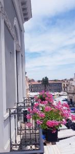 un balcón con flores rosas en un edificio en Fera O' Luni, en Catania