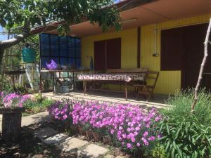 a garden with pink flowers in front of a yellow building at Бунгало- Bungalow in Kavarna