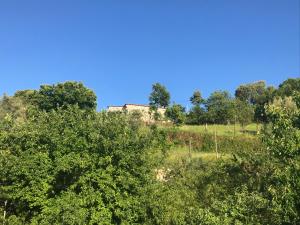 Gallery image of Casa da Choqueira in Vieira do Minho +98 photos