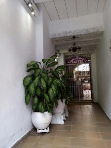 Gallery image of Casa Abril II in Cartagena de Indias