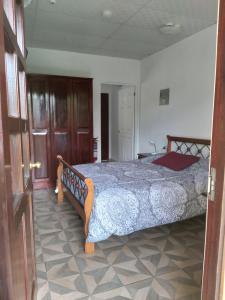 een slaapkamer met een bed in een kamer bij Aparthotel Boquete Apartments in Boquete