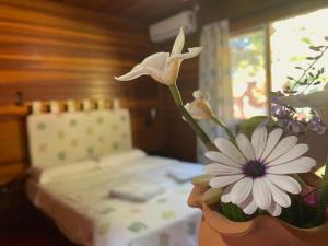 Postel nebo postele na pokoji v ubytování Complejo Turistico Chuy
