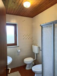 La salle de bains est pourvue de toilettes et d'un lavabo. dans l'établissement Appartamenti Dolomiti, à Colcerver