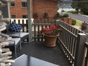 a patio with a fence and a pot of flowers at Banksia Seven in Merimbula