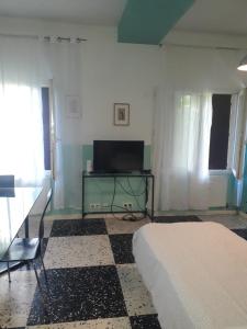 a living room with a bed and a tv at Appartement Mimosa, tram 2, parking in Montpellier