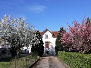 une maison blanche avec des arbres fleuris devant elle dans l'établissement La Maison Mirabeau, à Verdun-sur-Meuse