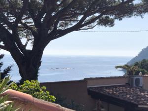 Gallery image of Villa Lilause in Hyères +35 photos