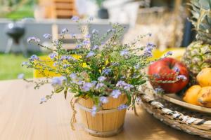 Zahrada ubytování Dandelion Vendégházak