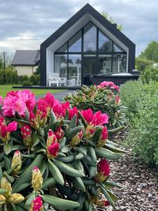 a bunch of pink flowers in front of a house at RELAX PORT in Bigauņciems