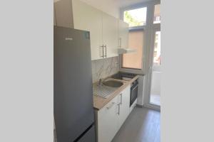 una cucina con lavandino e frigorifero di Lexi apartma a Capodistria