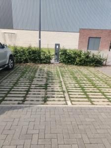 Ein Garten an der Unterkunft De Konik