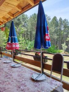 - deux parasols installés au-dessus d'une table dans l'établissement Anita`s home, à Ohrid