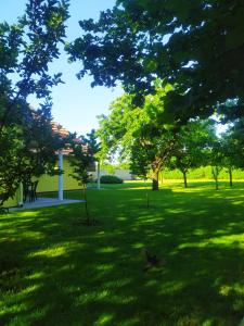 a green park with trees and a grass field at Soba Milica in Palić