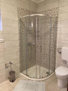 eine Duschkabine im Bad mit WC in der Unterkunft Apartment Mare Krk in Milohnići