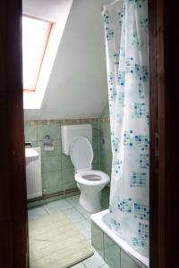 La salle de bains est pourvue de toilettes et d'un rideau de douche. dans l'établissement Imádó Vendégház, à Cernatu de Sus