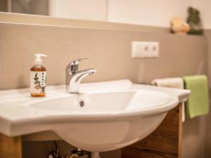 Un lavabo de baño con una botella de jabón encima en Pfattenspitz Maurerhof, en Valdurna 29 fotos más