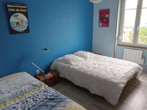 1 dormitorio con 2 camas en una habitación con paredes azules en Superbe logement dans une maison de caractère en Toul