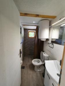 a small bathroom with a toilet and a sink at Brvnare Ljubojević in Kraljevo