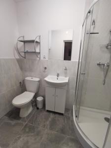 Kúpeľňa v ubytovaní Apartament Ogrodowa + 37 fotografií