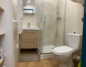 a bathroom with a toilet and a shower at Appartement Les Amethystes 1 in Le Mont-Dore