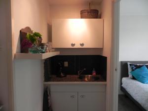 - une petite cuisine avec évier dans la chambre dans l'établissement Appels en Peren Bed and Breakfast, à Breezand