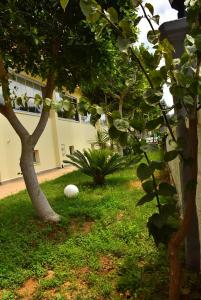 Fotografie z fotogalerie ubytování Nora Suit Hotel v destinaci Side