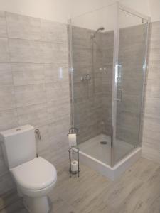 a bathroom with a shower and a toilet and a shower at Ranczo u Jarka in Jeżyce