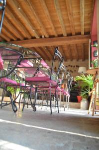 une rangée de chaises roses assises sur une terrasse dans l'établissement Domaine Maltoff, à Coulanges-la-Vineuse