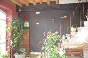 un couloir avec des plantes en pot et un escalier dans l'établissement Domaine Maltoff, à Coulanges-la-Vineuse