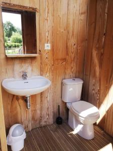 a bathroom with a toilet and a sink at Domaine de Cavailla in Marmont-Pachas