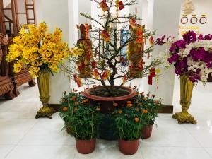 Φωτογραφία από το άλμπουμ του HOTEL ĐĂNG KHOA 2 NÚI SAM σε Chau Doc