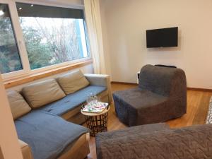 Gallery image of Maly apartament w zieleni blisko jeziora in Środa Wielkopolska