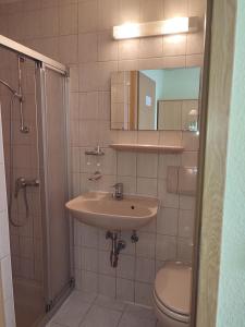 ein Badezimmer mit einem Waschbecken, einem WC und einem Spiegel in der Unterkunft Gockescher Hahn in Pöhl