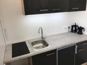 Kuchyňa alebo kuchynka v ubytovaní Villa Sabina - Apartments Kroatien
