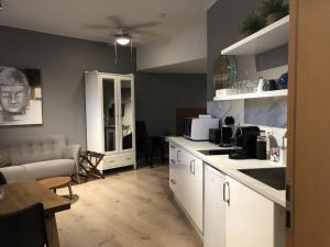 レイキャビクにあるSkolo Reykjavik Apartmentsの白いキャビネット付きのキッチン、リビングルーム