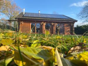 Zahrada ubytování Nîdwazô - Ecolodge & Maison d'hôtes
