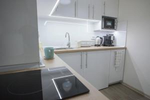 Kuchyň nebo kuchyňský kout v ubytování Landmark Apartment + 32 fotografií