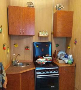 a small kitchen with a stove and a sink at Deribasovskaya 16 in Odesa