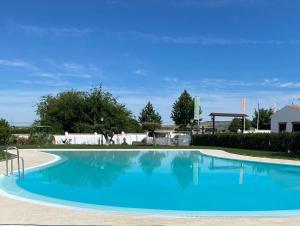 a large pool with blue water in a yard at Casas Rurales el Nogalejo Setenil in Setenil