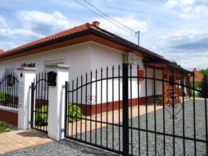 una casa con una puerta delante de ella en Tulipán Vendégház, en Sárospatak