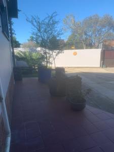 Fotografie z fotogalerie ubytování Cycad Stay v destinaci Mthatha