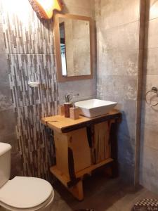 a bathroom with a sink and a toilet and a shower at Cabana NEDA in Rausor