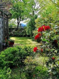 a garden with red flowers and a gazebo at Appartment Daji in Lüneburg