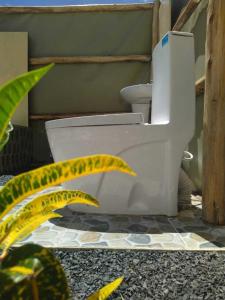 - des toilettes blanches installées à l'étage de la salle de bains avec une plante dans l'établissement Amanya 1-Bed Leopard Family with Mt Kilimanjaro vi, à Amboseli